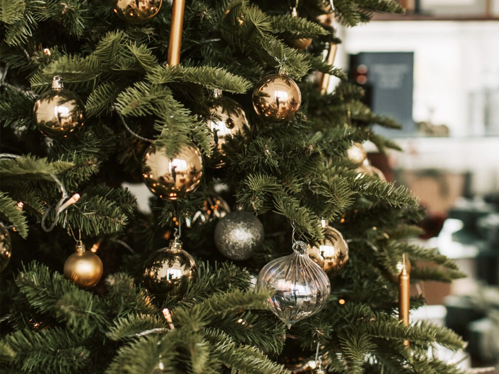 Pinheiro de Natal – Foto Pexels / Vlada Karpovich