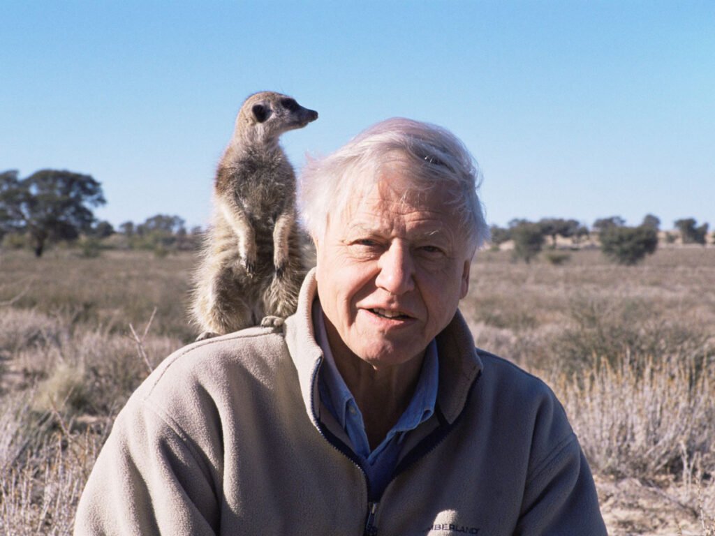 Sir David Attenborough. Foto - instagram.com/davidattenborough